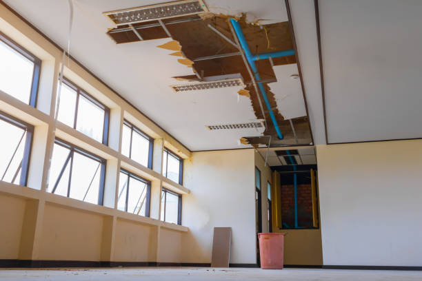 Best Water damage restoration near me  in Thousand Palms, CA