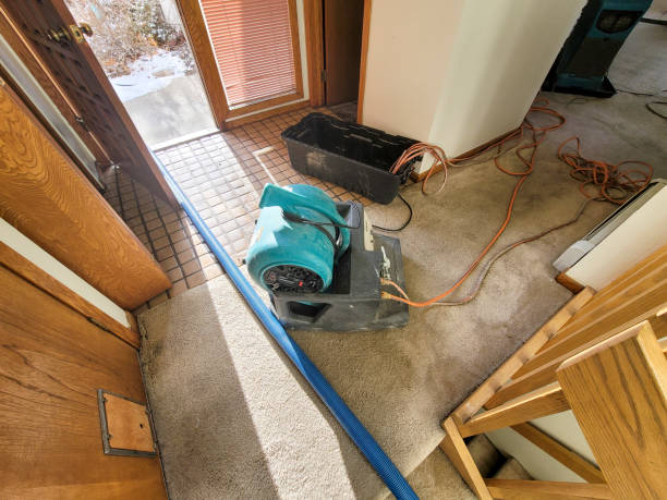 Best Water damage restoration experts  in Thousand Palms, CA