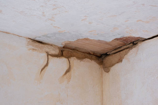 Best Water damage cleanup near me  in Thousand Palms, CA