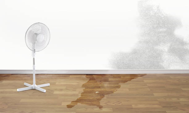 24/7 water damage repair in Thousand Palms, CA