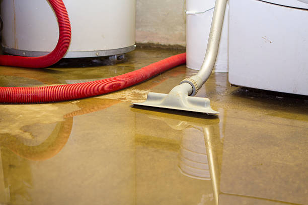 Best Flooded house restoration  in Thousand Palms, CA