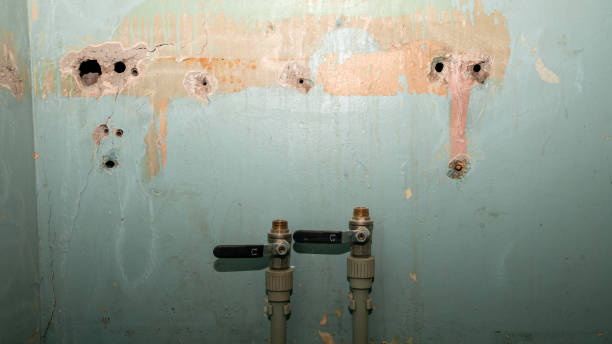 Best Water damage restoration services  in Thousand Palms, CA