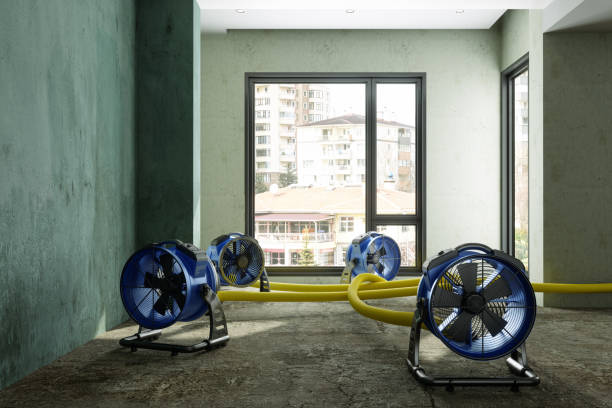 Best Water damage restoration near me  in Thousand Palms, CA